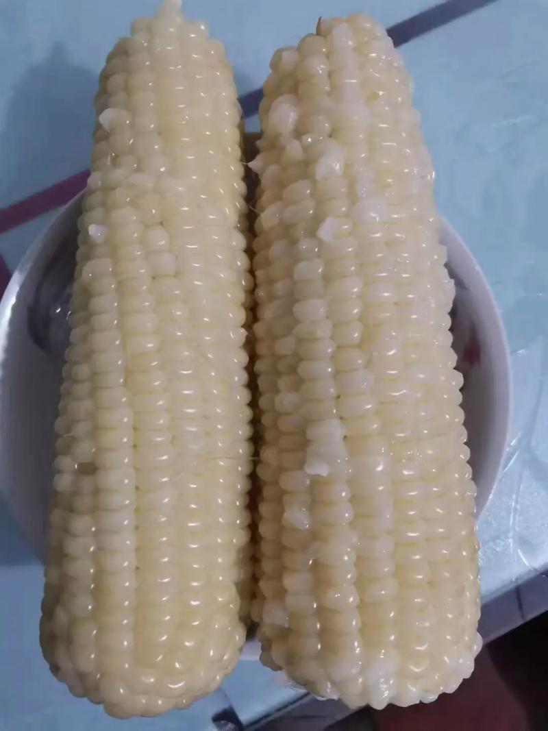 速冻玉米